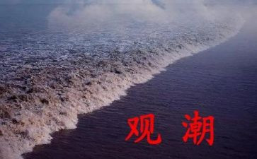 观潮心得体会500字6篇