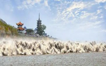 观潮读后感350字最新8篇