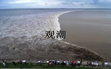 观潮教学总结推荐6篇