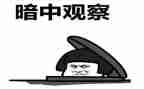 618端午活动策划参考5篇