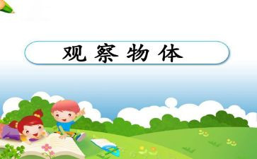 一学年个人总结范文5篇