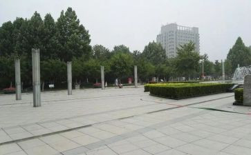 广场舞的蟋蟀读后感推荐6篇