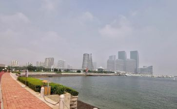 2022团史心得体会300字6篇