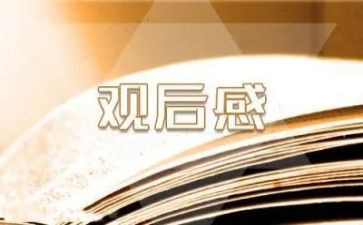 方与圆观后感,800字精选6篇