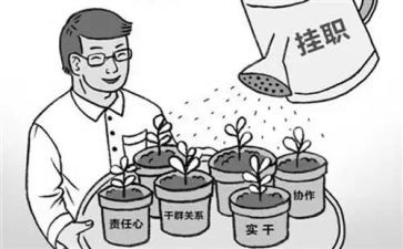 2.0信息化培训心得体会5篇