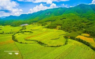 国土工作总结范文8篇