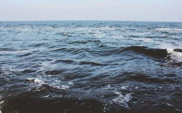 《老人与海》读后感5篇