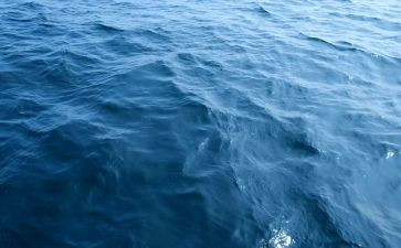 海伦凯勒的读后感5篇