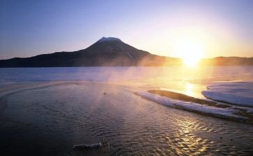 上海房屋租赁合同5篇
