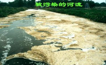 1000军训心得体会6篇