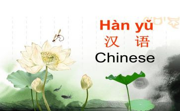 中学实习教师个人总结8篇