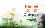 中学实习教师个人总结8篇