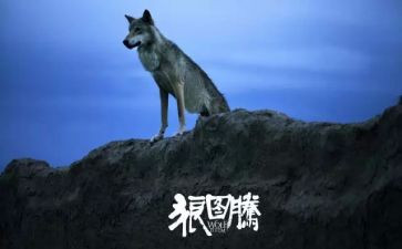 2023父亲节活动总结推荐7篇