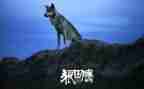2023父亲节活动总结推荐7篇