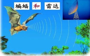 一年级汉语文上册教学计划6篇