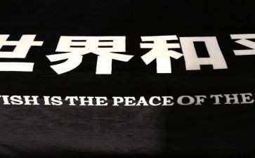 为和平的心得体会6篇