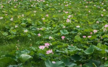 4月活动总结8篇