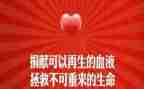 119消防宣传活动的总结模板5篇