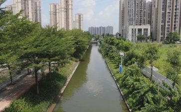 2023业务员个人总结5篇