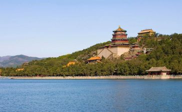 2023年病媒工作计划5篇