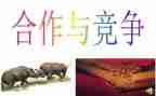 三零工作月总结6篇