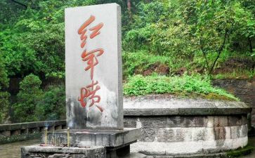 专业教育心得体会通用7篇