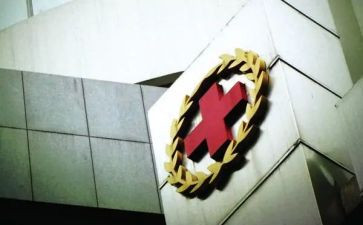 红十活动心得体会模板7篇