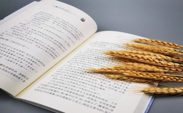 2023上保育工作计划最新5篇