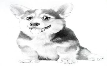 小学语文《画》教案6篇