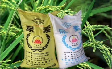 201春班级工作计划最新6篇