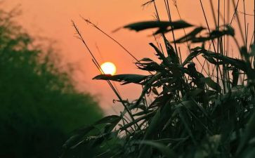 秋天怀念的读后感优秀5篇