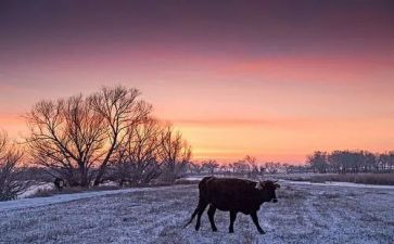 描写黄昏的作文8篇