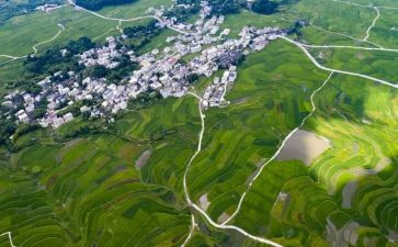 环境调查报告字推荐8篇