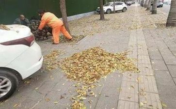 三年级教师期末工作总结5篇