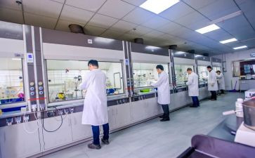 化验的工作总结参考5篇