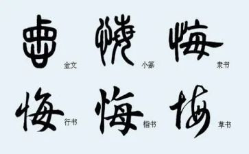 无悔青春的演讲稿通用5篇