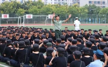 会操心得体会600字6篇