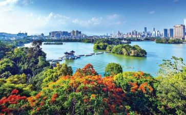 6年级上学期教学工作计划5篇