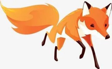 狐狸和猫的故事读后感通用6篇