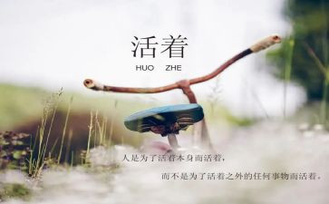 《断舍离》读后感5篇