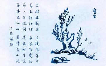 保护生态的作文模板6篇