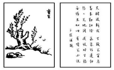 保护生态环境的演讲稿范文5篇