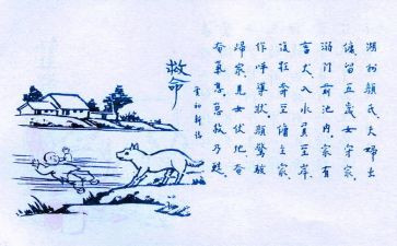 守护生命作文5篇