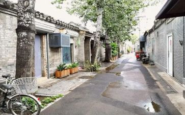 将军胡同,读后感优秀6篇