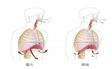 呼吸科2024年工作总结5篇
