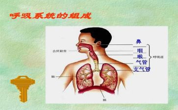 三年级班主任德育工作总结6篇