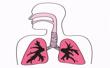 呼吸科医生述职报告6篇