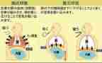 呼吸内科护士述职报告5篇