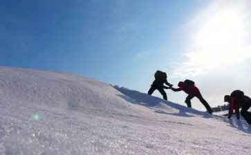 2022年秋小学工作计划5篇