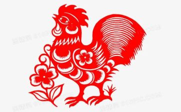 我是一只鸡的作文最新8篇
